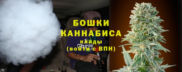 ПСИЛОЦИБИНОВЫЕ ГРИБЫ Лихославль