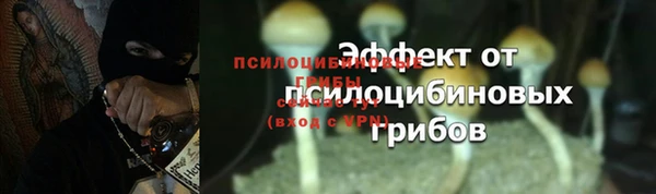 ПСИЛОЦИБИНОВЫЕ ГРИБЫ Лихославль