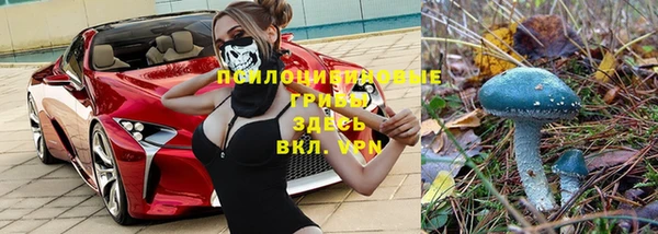 стаф Лиски